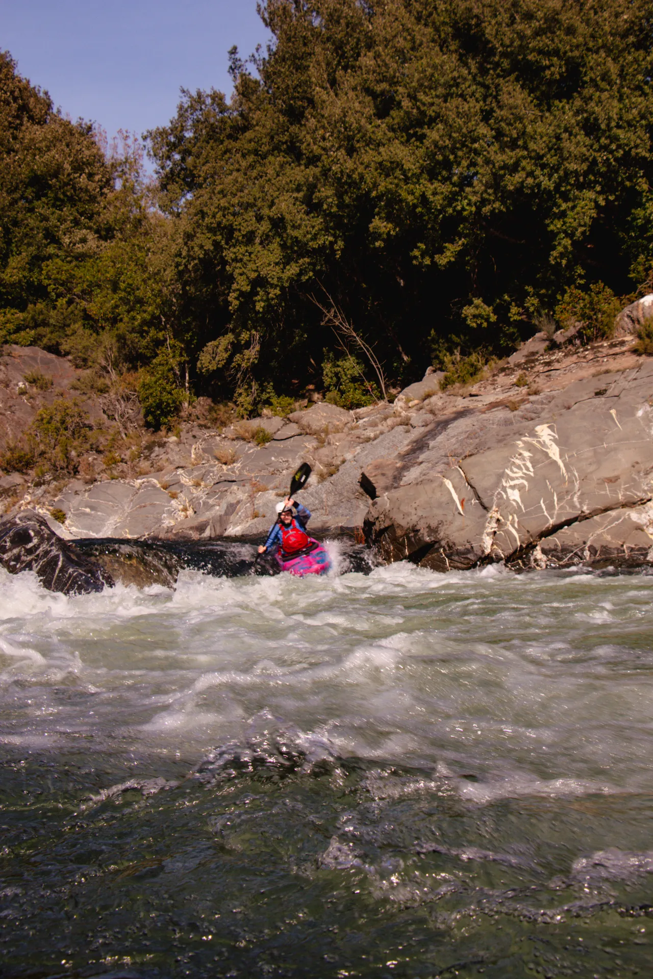 Tavignano River gorge with lush vegetation