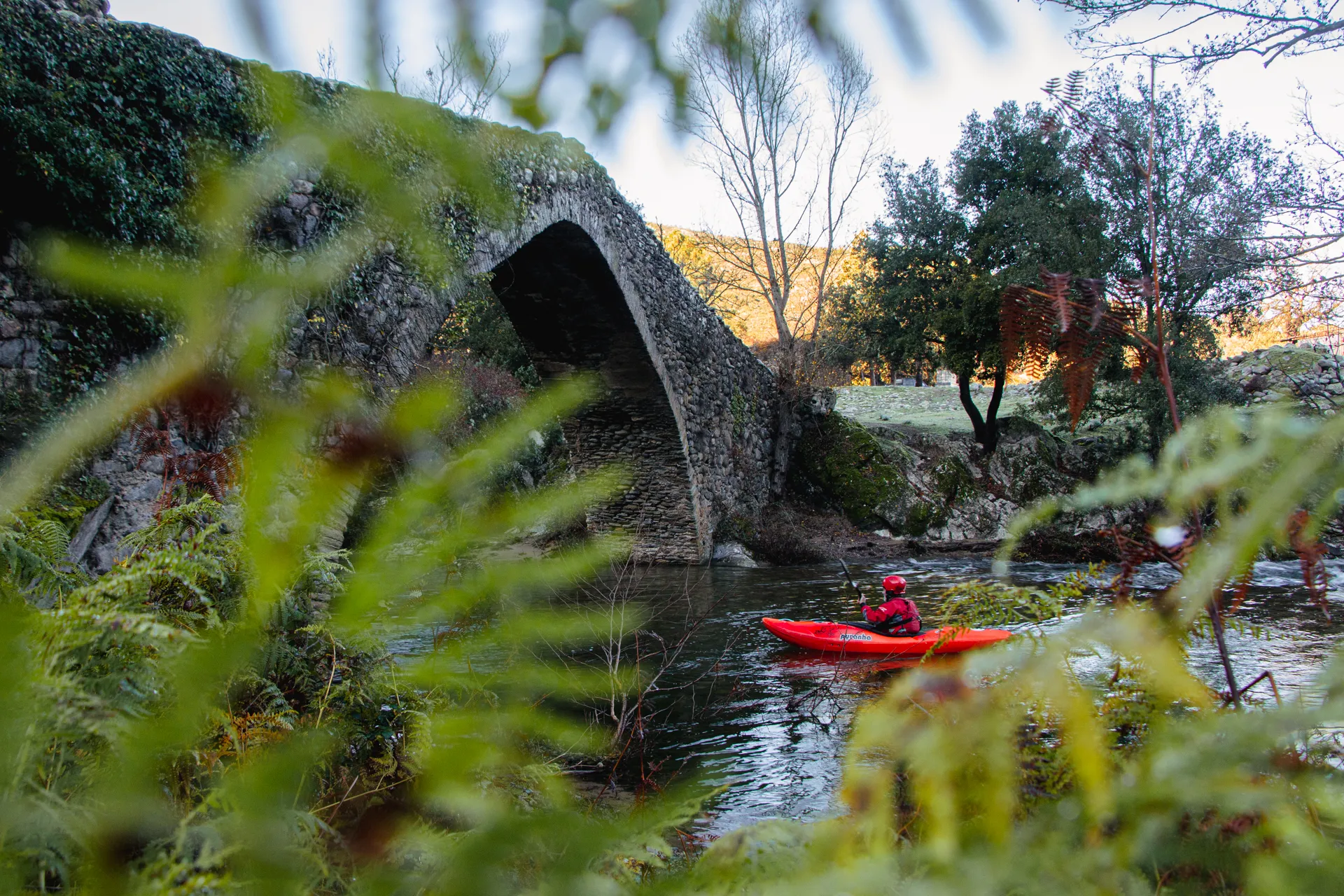 Late afternoon light on the river